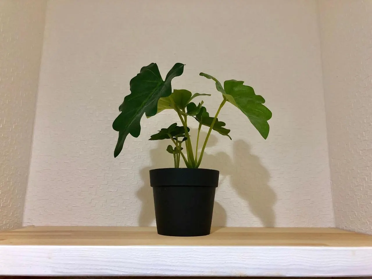 Uhome Ueno Apartment Tokio 0*,